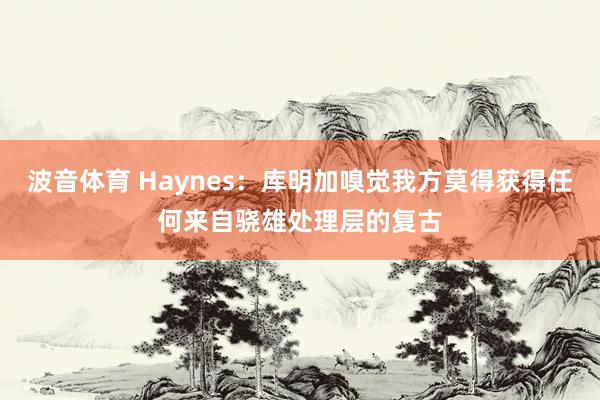 波音体育 Haynes：库明加嗅觉我方莫得获得任何来自骁雄处理层的复古