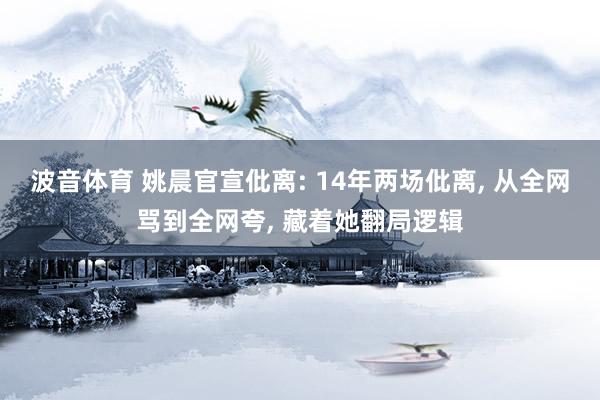 波音体育 姚晨官宣仳离: 14年两场仳离， 从全网骂到全网夸， 藏着她翻局逻辑