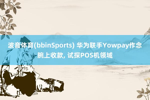 波音体育(bbinSports) 华为联手Yowpay作念腕上收款, 试探POS机领域