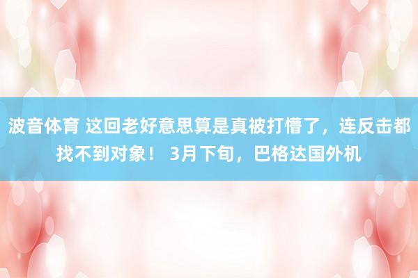 波音体育 这回老好意思算是真被打懵了，连反击都找不到对象！ 3月下旬，巴格达国外机