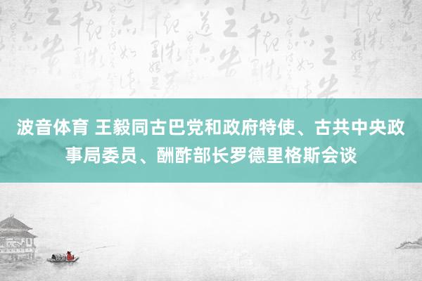 波音体育 王毅同古巴党和政府特使、古共中央政事局委员、酬酢部长罗德里格斯会谈
