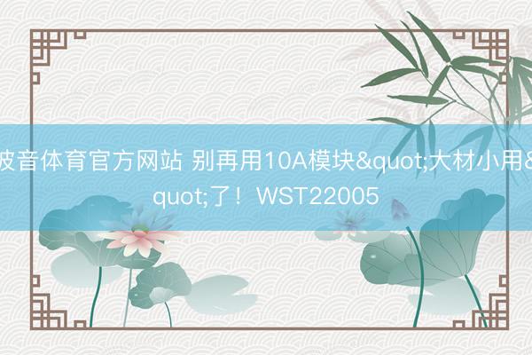 波音体育官方网站 别再用10A模块"大材小用"了!WST22005