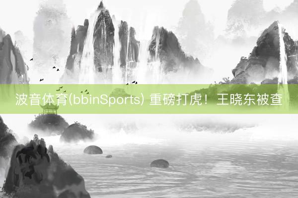 波音体育(bbinSports) 重磅打虎!王晓东被查