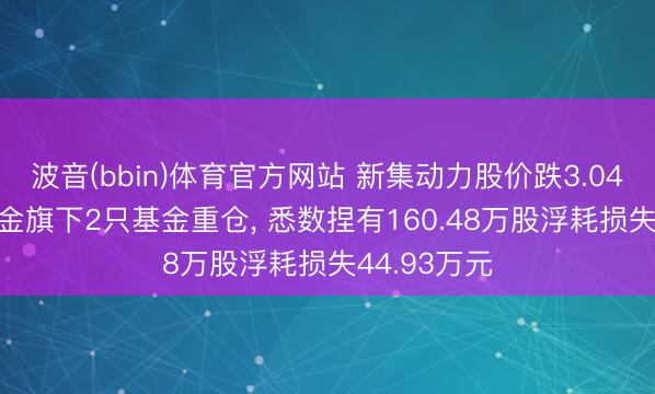 波音(bbin)体育官方网站 新集动力股价跌3.04%， 华安基金旗下2只基金重仓， 悉数捏有160.48万股浮耗损失44.93万元