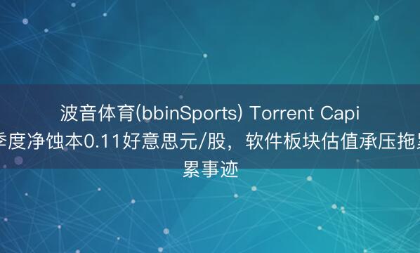 波音体育(bbinSports) Torrent Capital一季度净蚀本0.11好意思元/股,软件板块估值承压拖累事迹